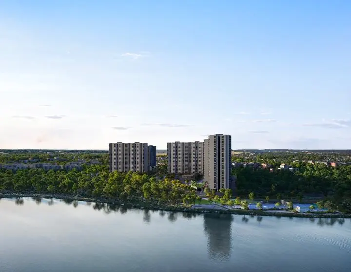 The lake edge